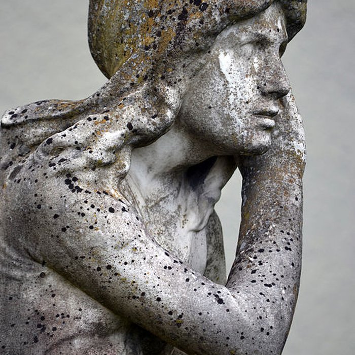 Photo de Musée des beaux-arts et dhistoire naturelle de Châteaudun