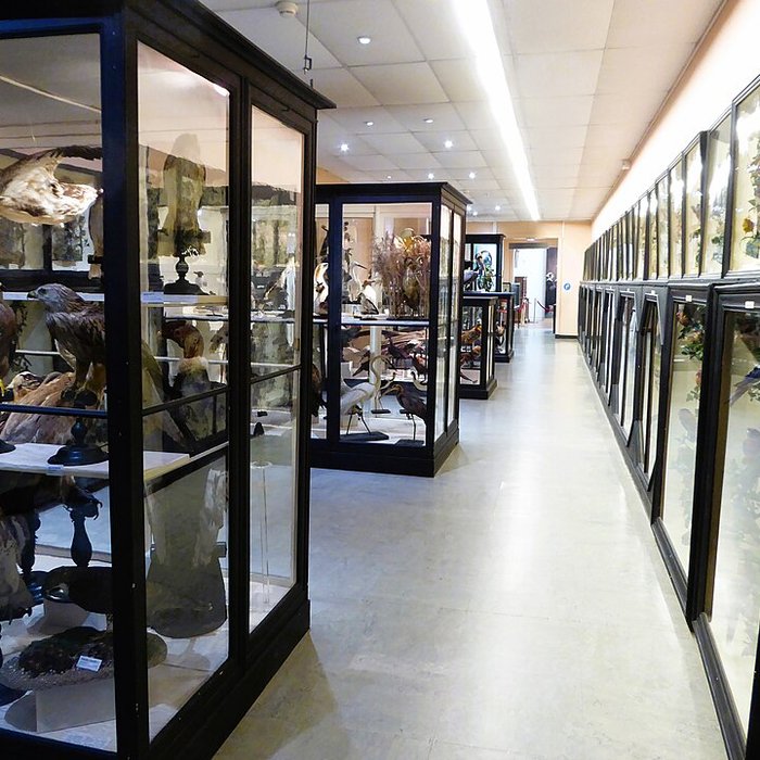 Photo de Musée des beaux-arts et dhistoire naturelle de Châteaudun