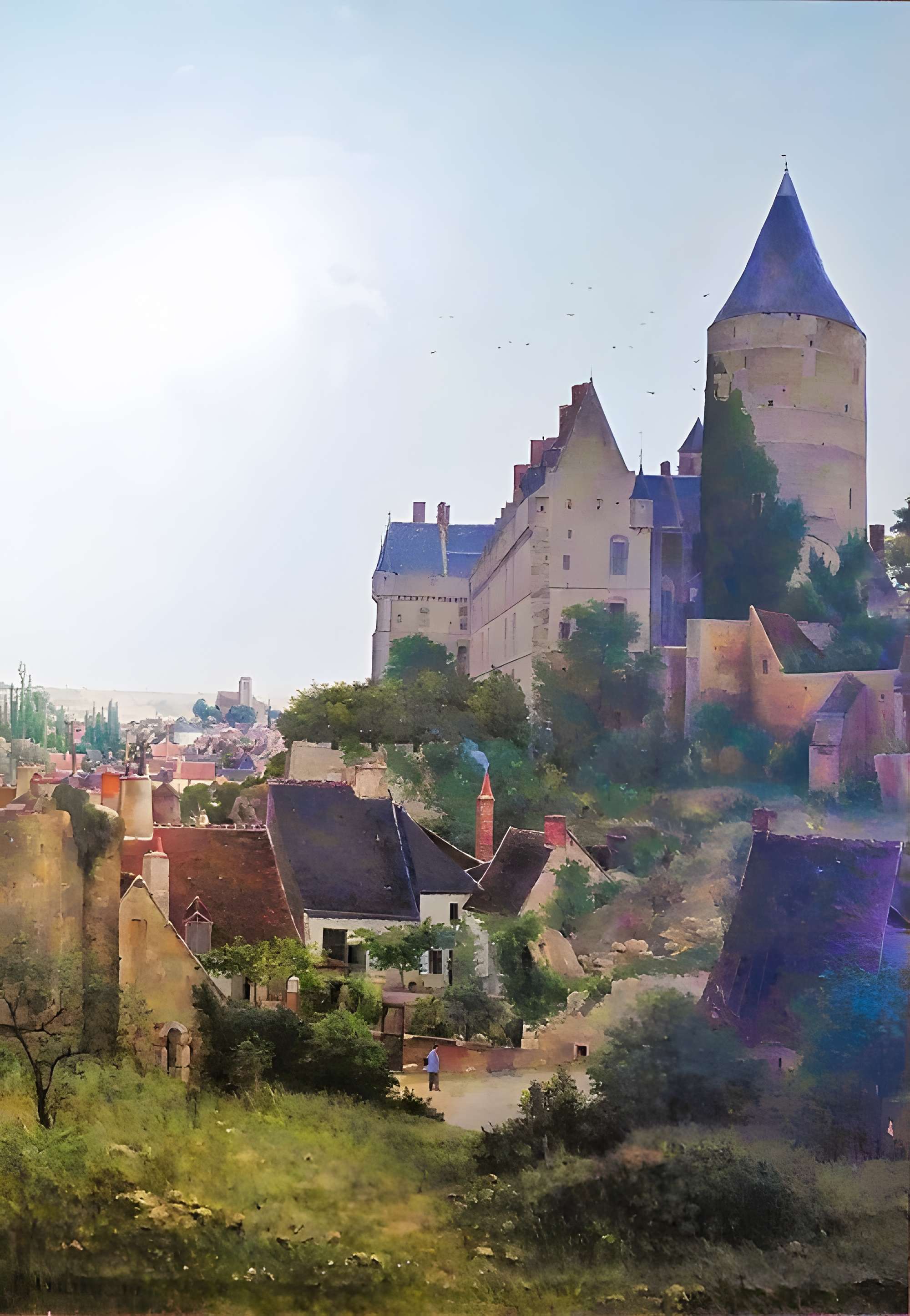 Musée des beaux-arts et d'histoire naturelle de Châteaudun