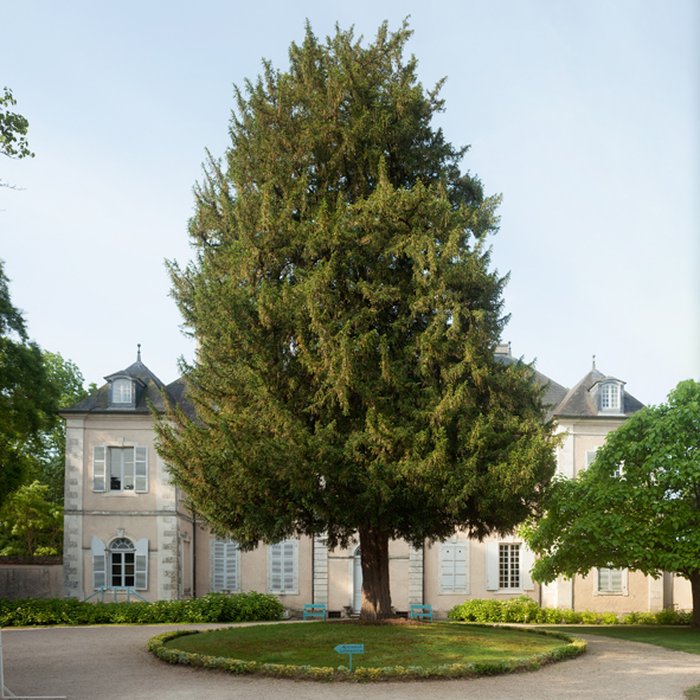 Photo de Maison de George Sand à Nohant-Vic