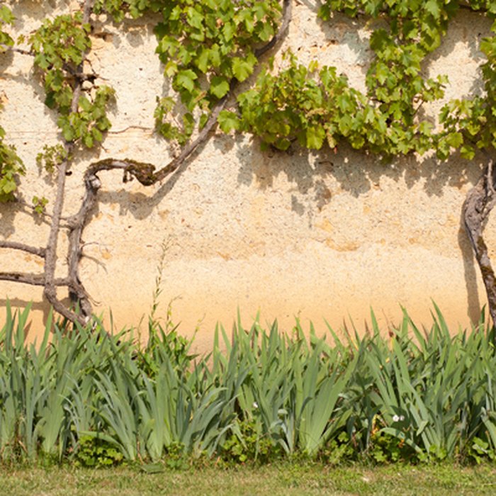 Photo de Maison de George Sand à Nohant-Vic