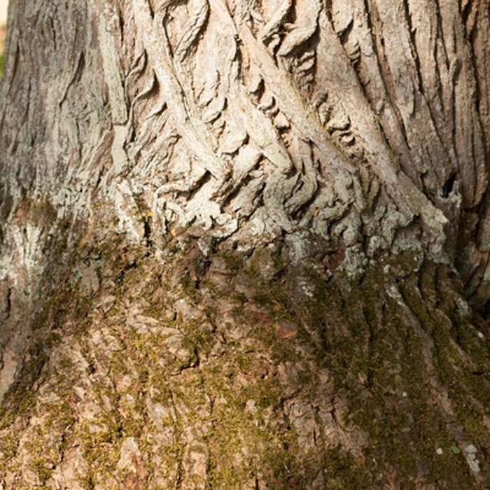 Photo de Maison de George Sand à Nohant-Vic