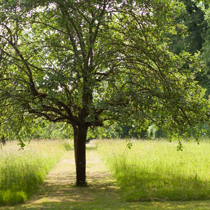 Photo de Maison de George Sand à Nohant-Vic