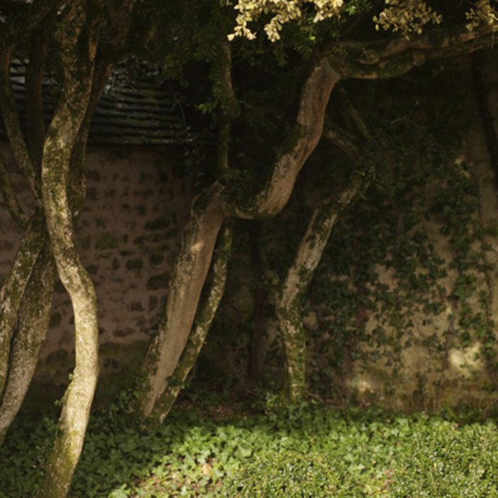 Photo de Maison de George Sand à Nohant-Vic