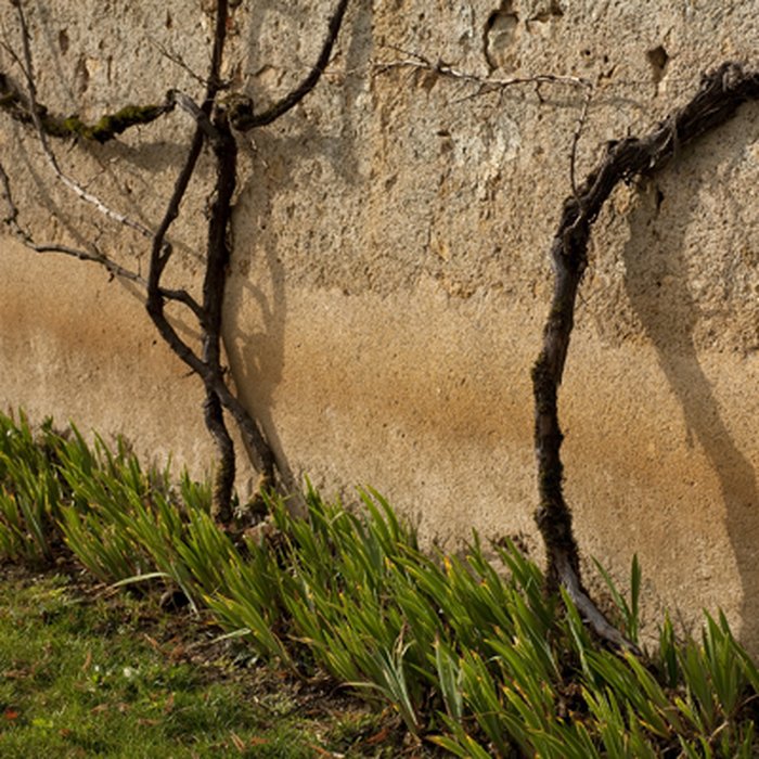 Photo de Maison de George Sand à Nohant-Vic