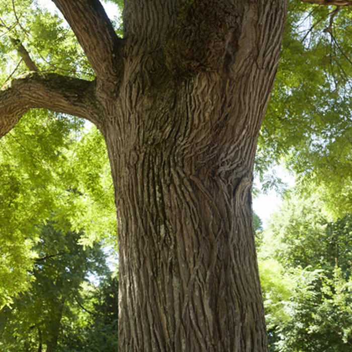 Photo de Maison de George Sand à Nohant-Vic