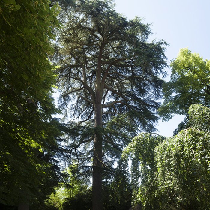Photo de Maison de George Sand à Nohant-Vic