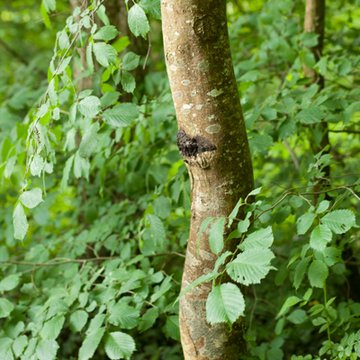 Maison de George Sand à Nohant-Vic