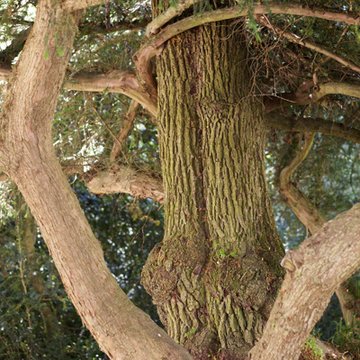 Maison de George Sand à Nohant-Vic