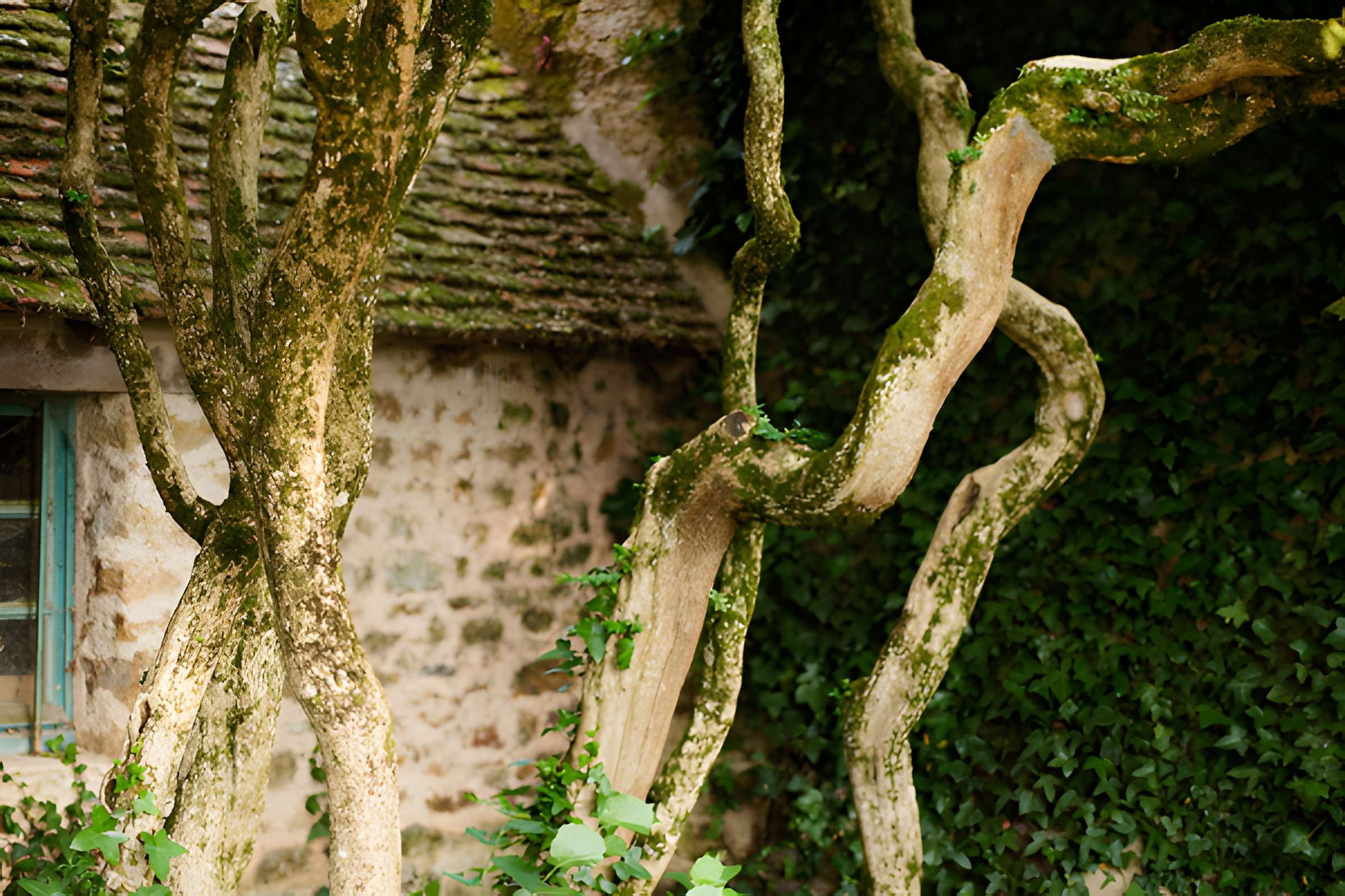 Maison de George Sand à Nohant-Vic