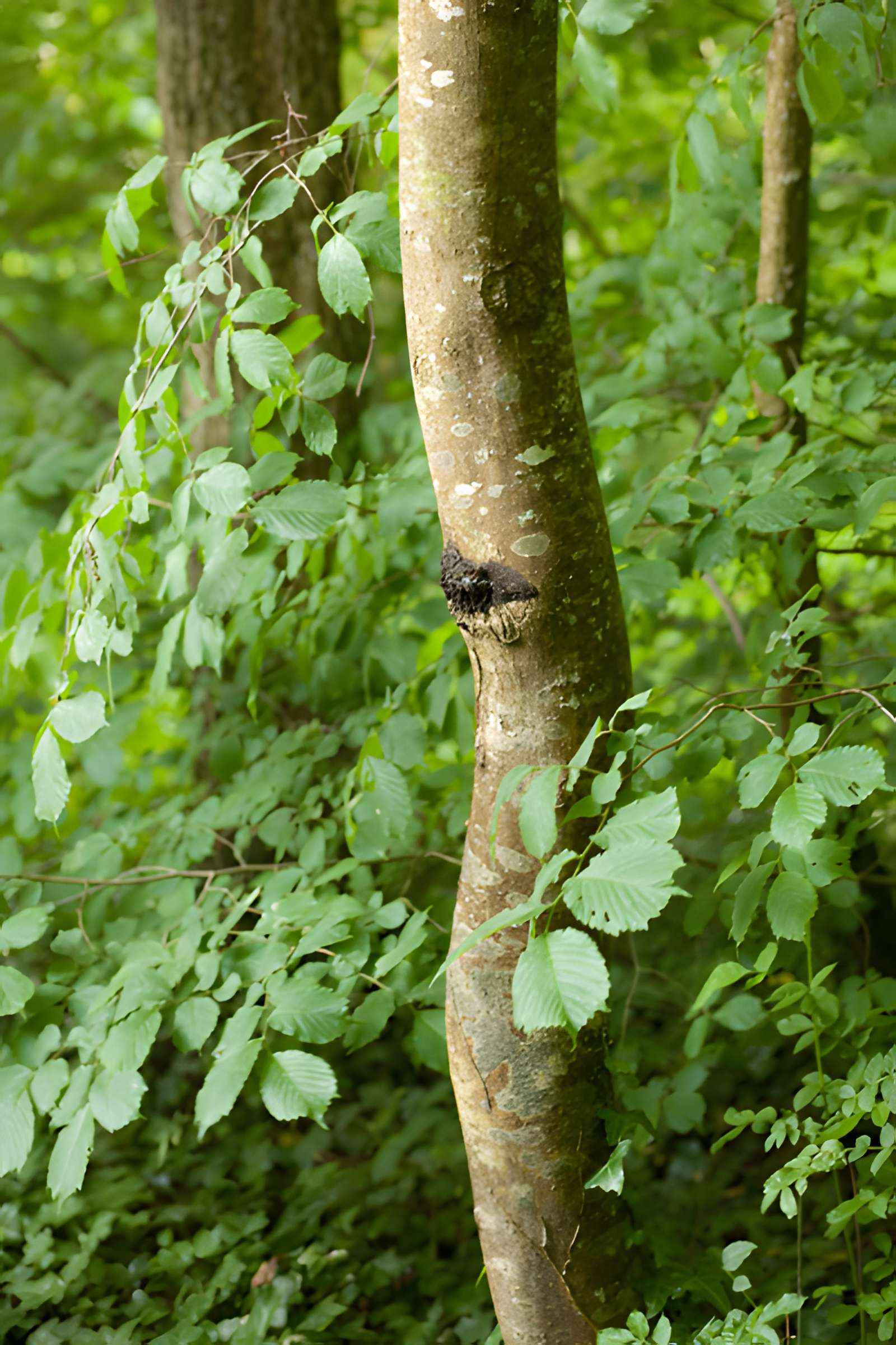 Maison de George Sand à Nohant-Vic