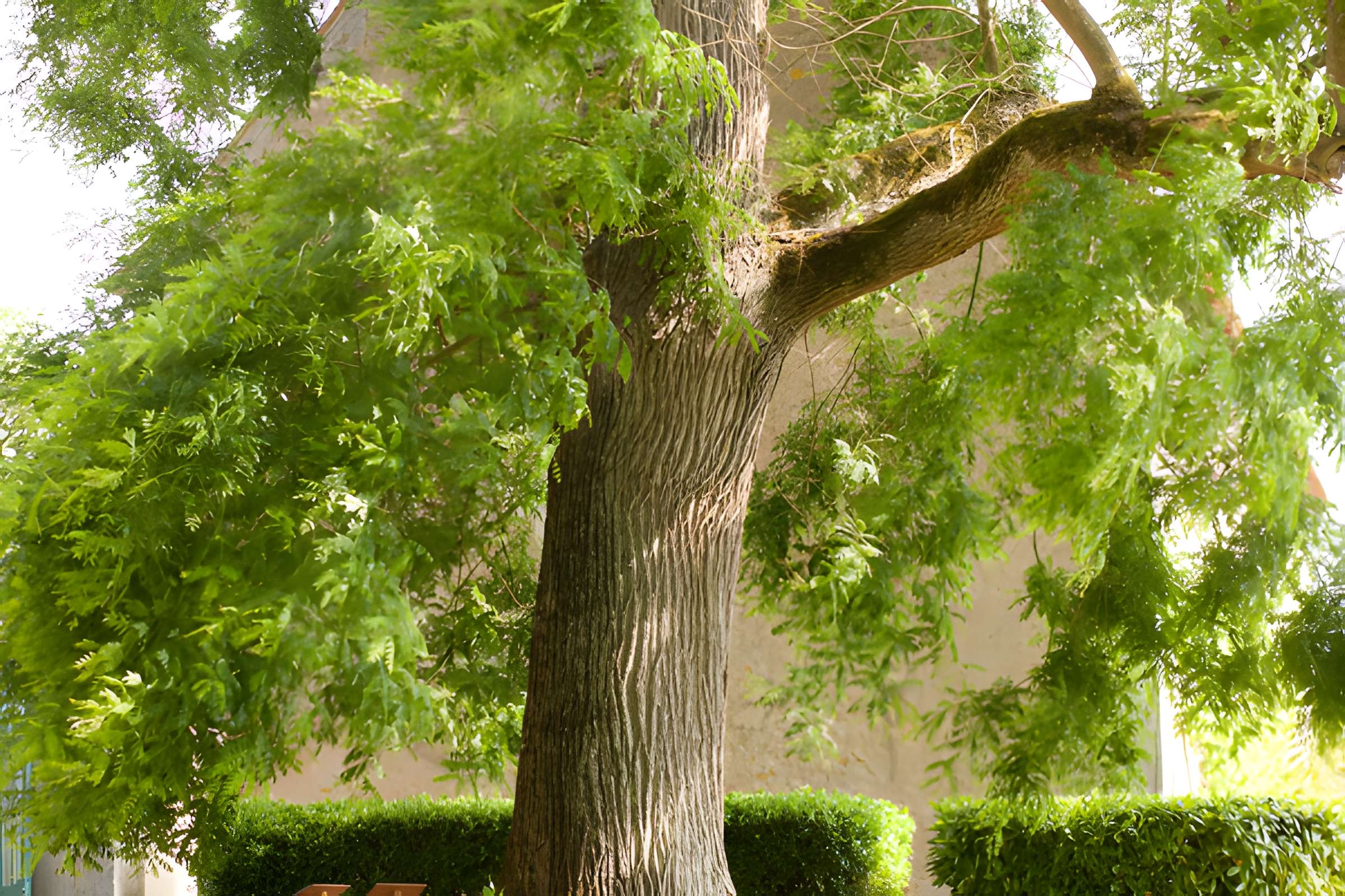 Maison de George Sand à Nohant-Vic