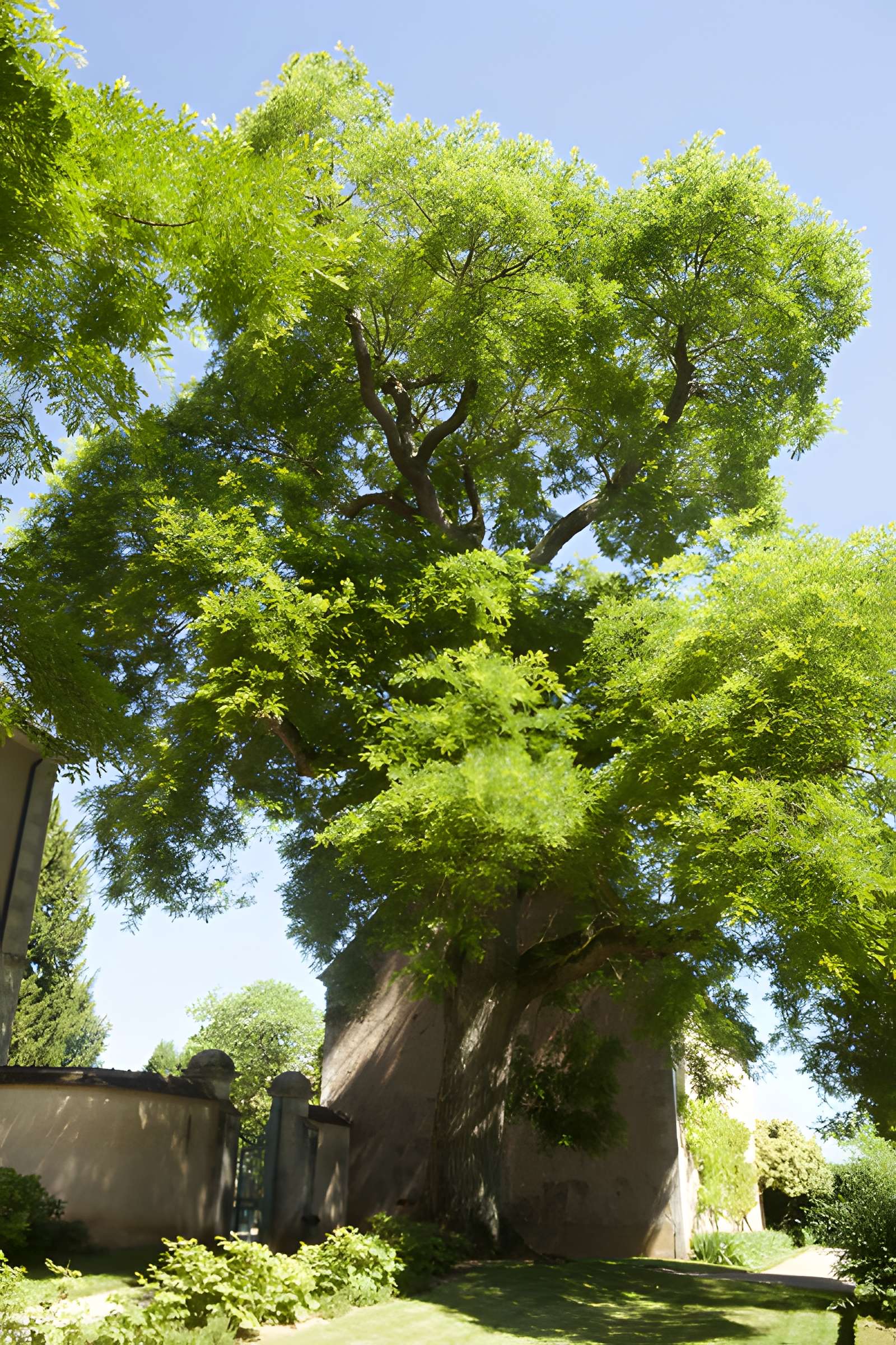 Maison de George Sand à Nohant-Vic