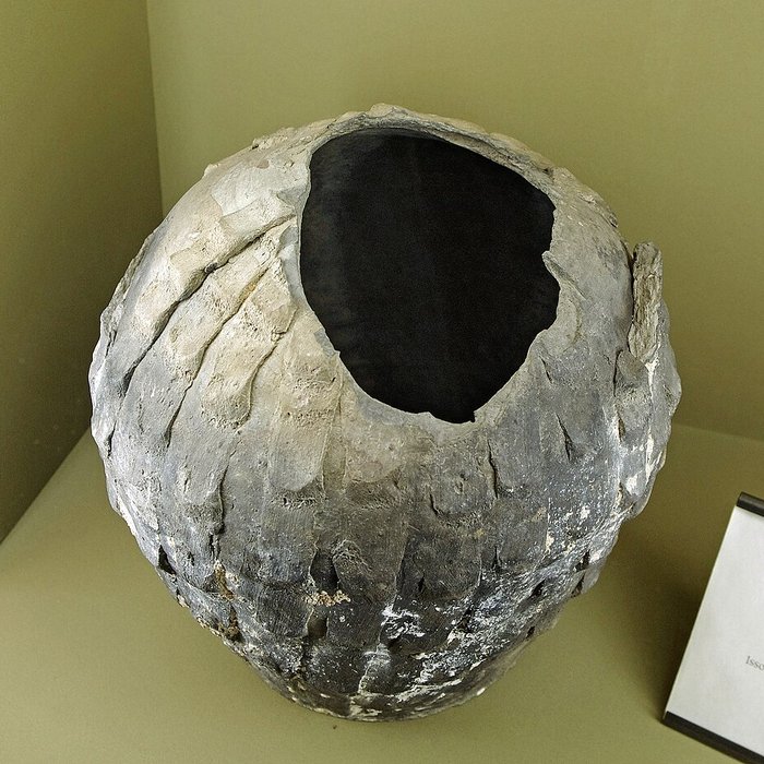 Photo de Musée de lHospice Saint-Roch à Issoudun