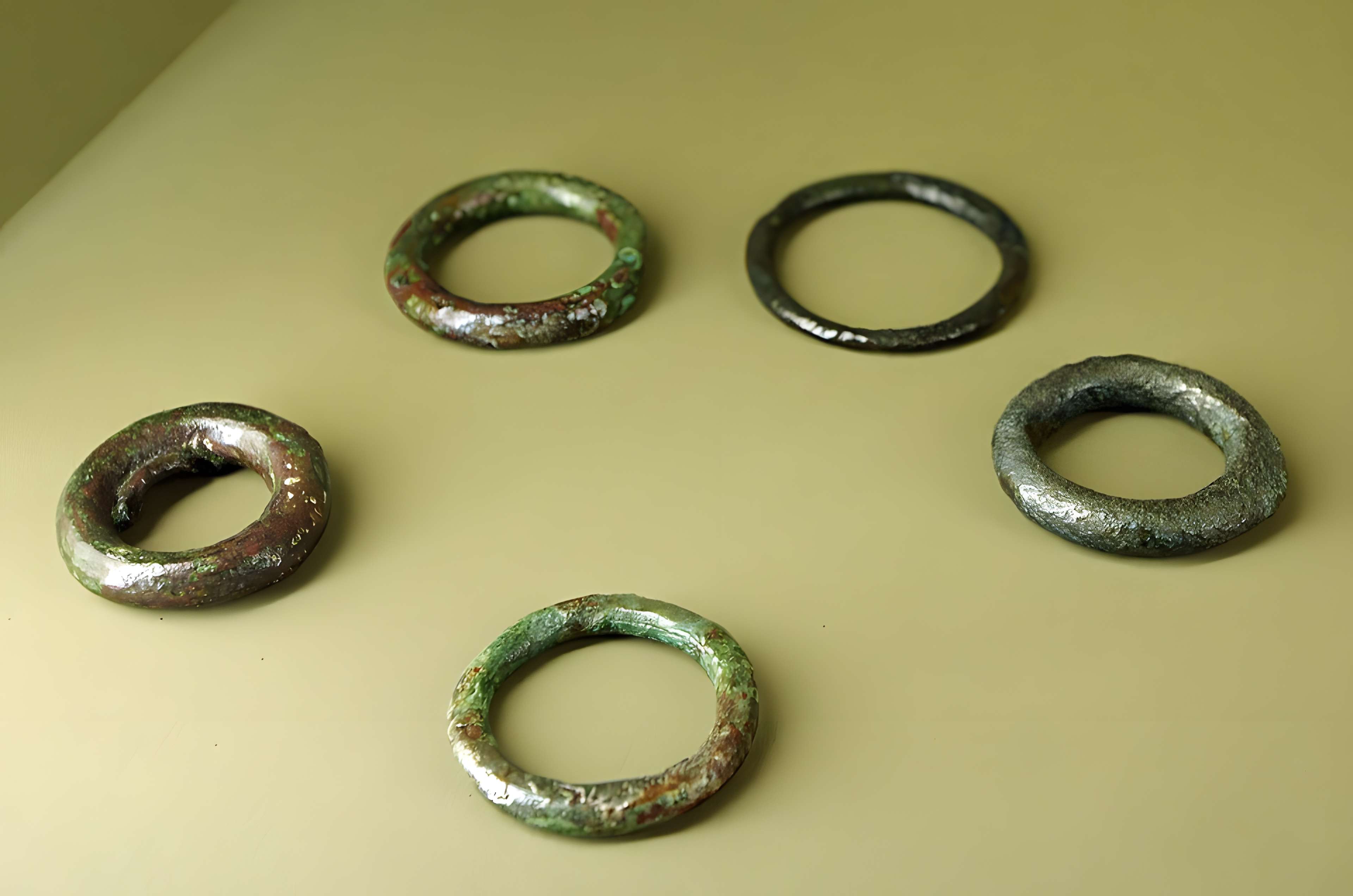 Musée de l'Hospice Saint-Roch à Issoudun