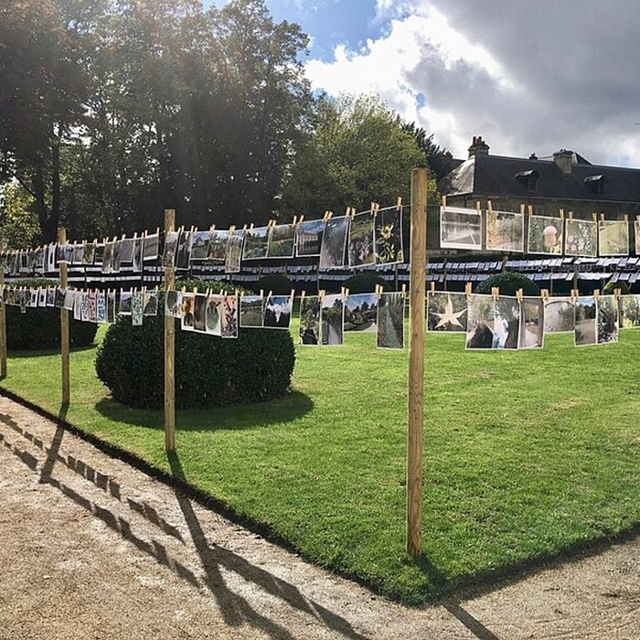 Photo de Musée des beaux-arts de Tours