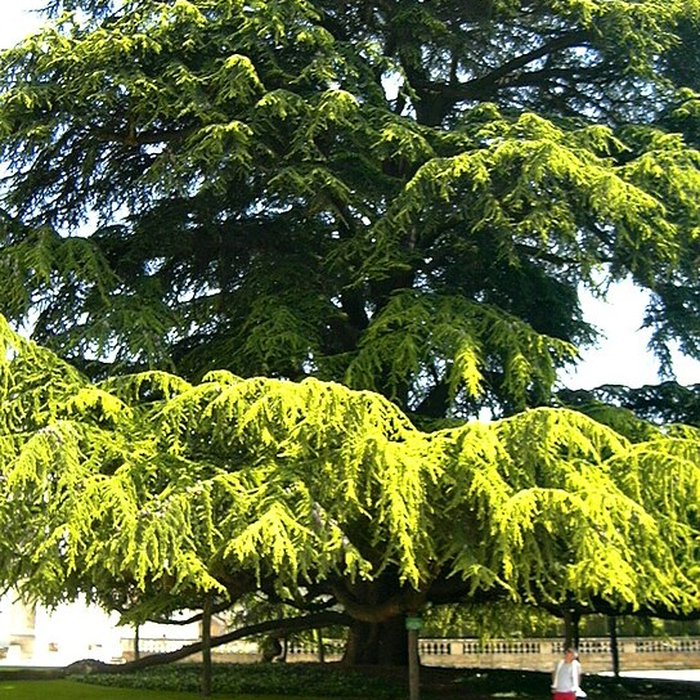 Photo de Musée des beaux-arts de Tours