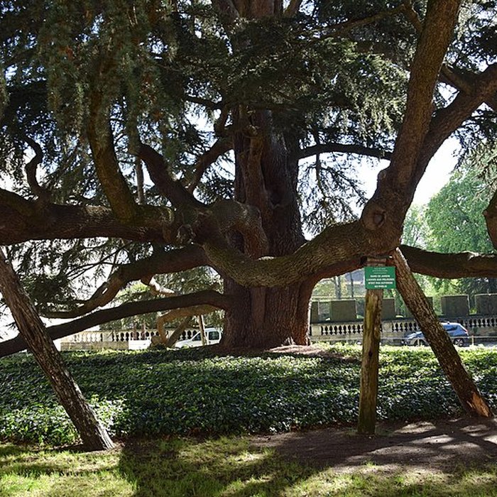 Photo de Musée des beaux-arts de Tours