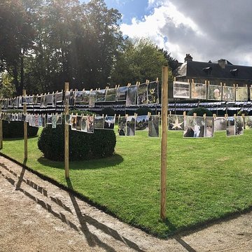 Musée des beaux-arts de Tours