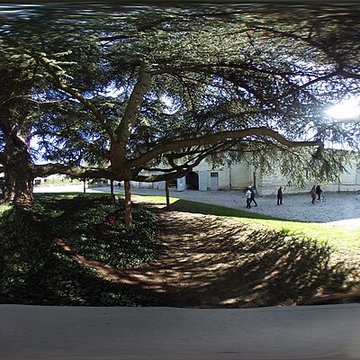 Musée des beaux-arts de Tours