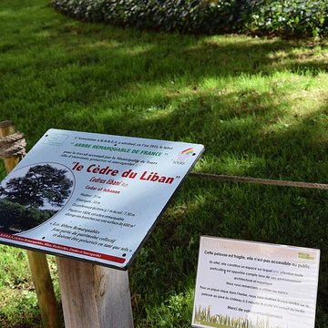 Musée des beaux-arts de Tours