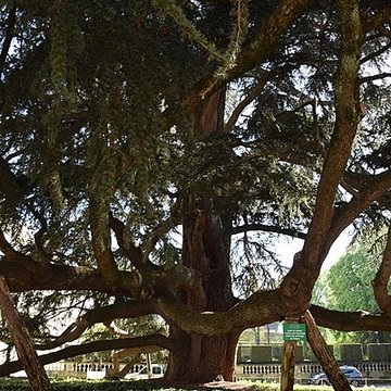 Musée des beaux-arts de Tours