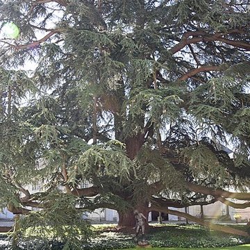 Musée des beaux-arts de Tours