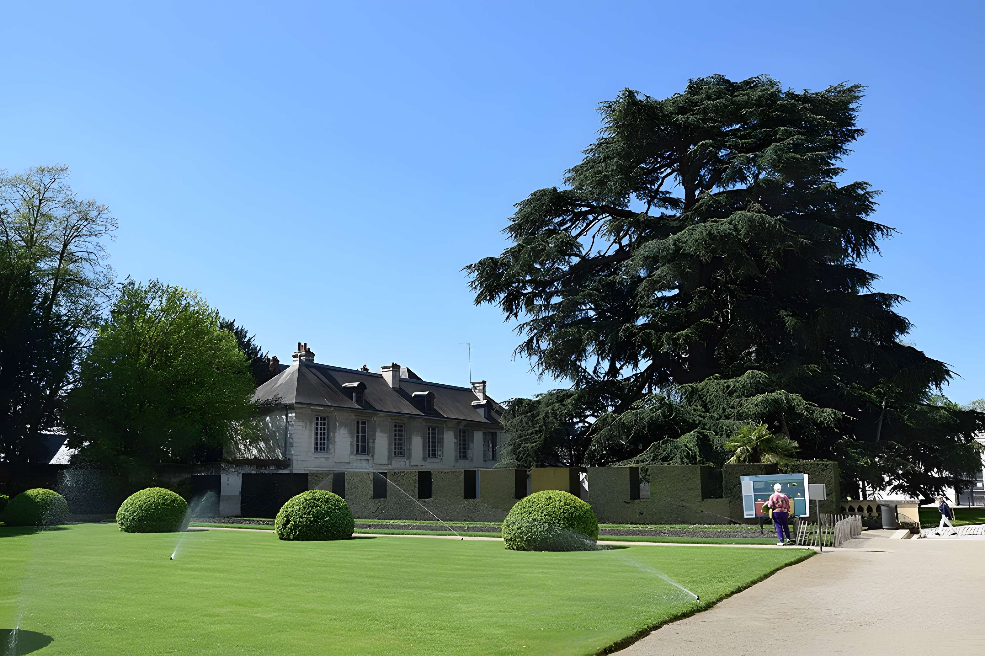 Musée des beaux-arts de Tours
