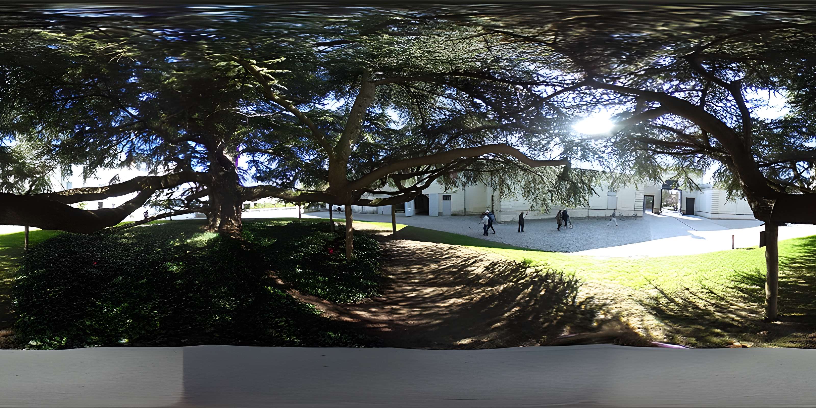 Musée des beaux-arts de Tours