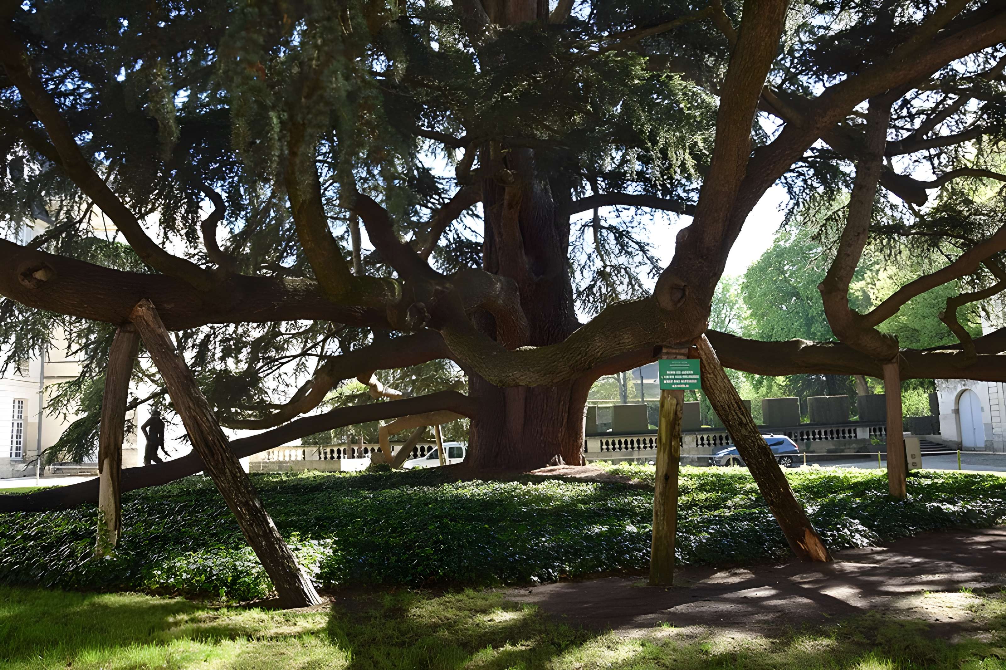 Musée des beaux-arts de Tours