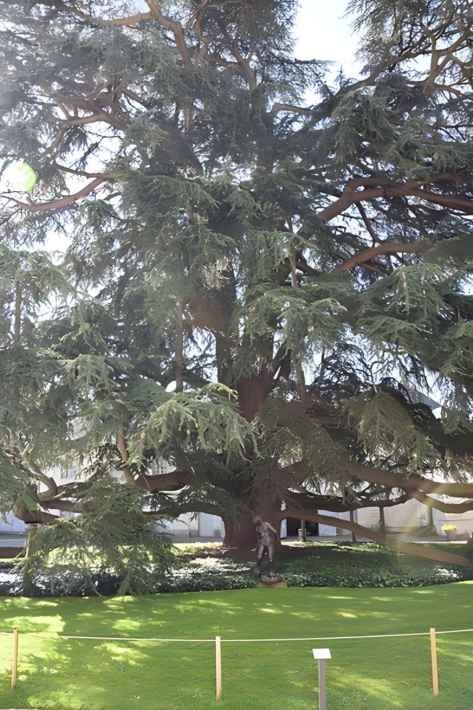 Musée des beaux-arts de Tours