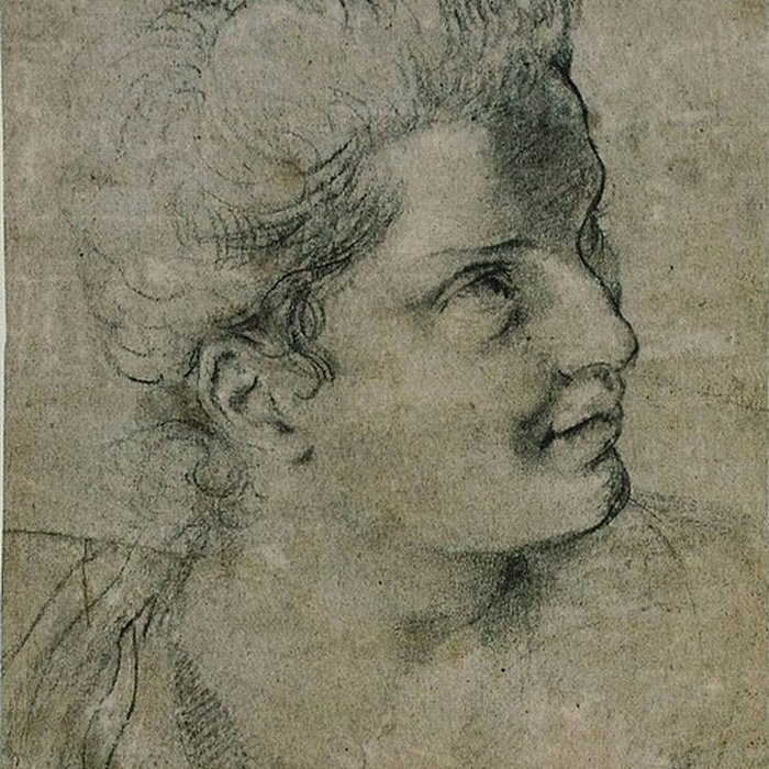 Photo de Musée des Beaux-Arts dOrléans