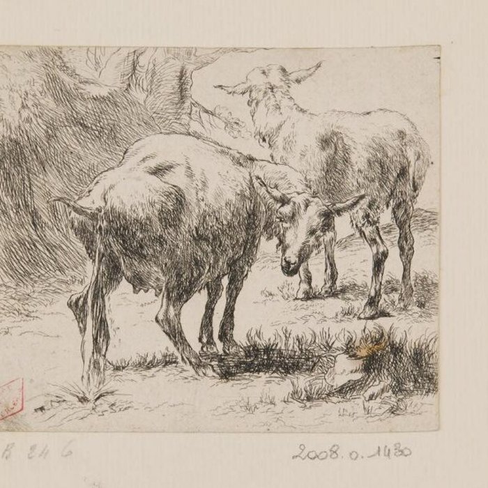 Photo de Musée des Beaux-Arts dOrléans