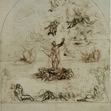 Musée des Beaux-Arts dOrléans