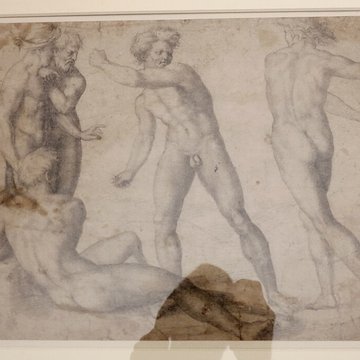 Musée des Beaux-Arts dOrléans