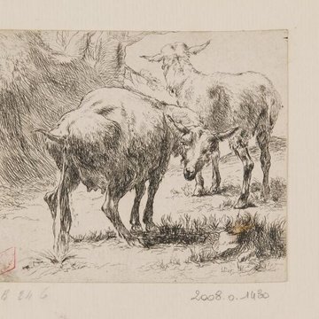 Musée des Beaux-Arts dOrléans