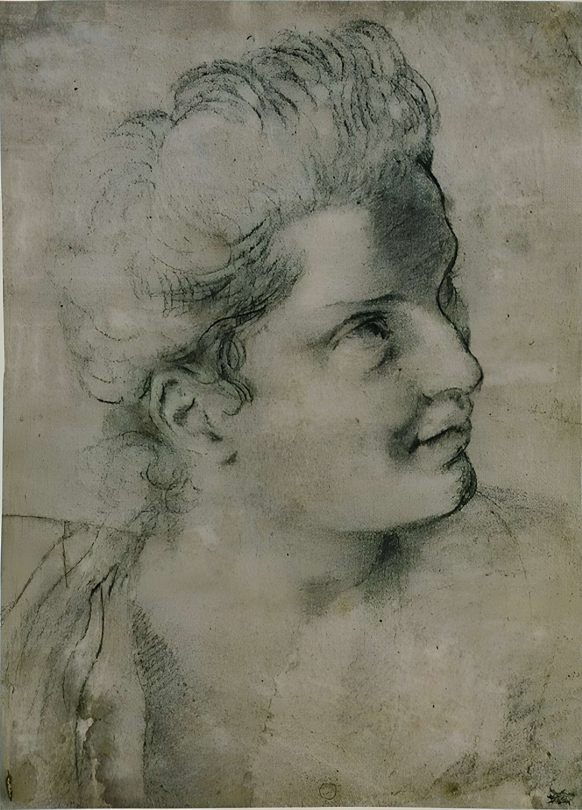 Musée des Beaux-Arts d'Orléans