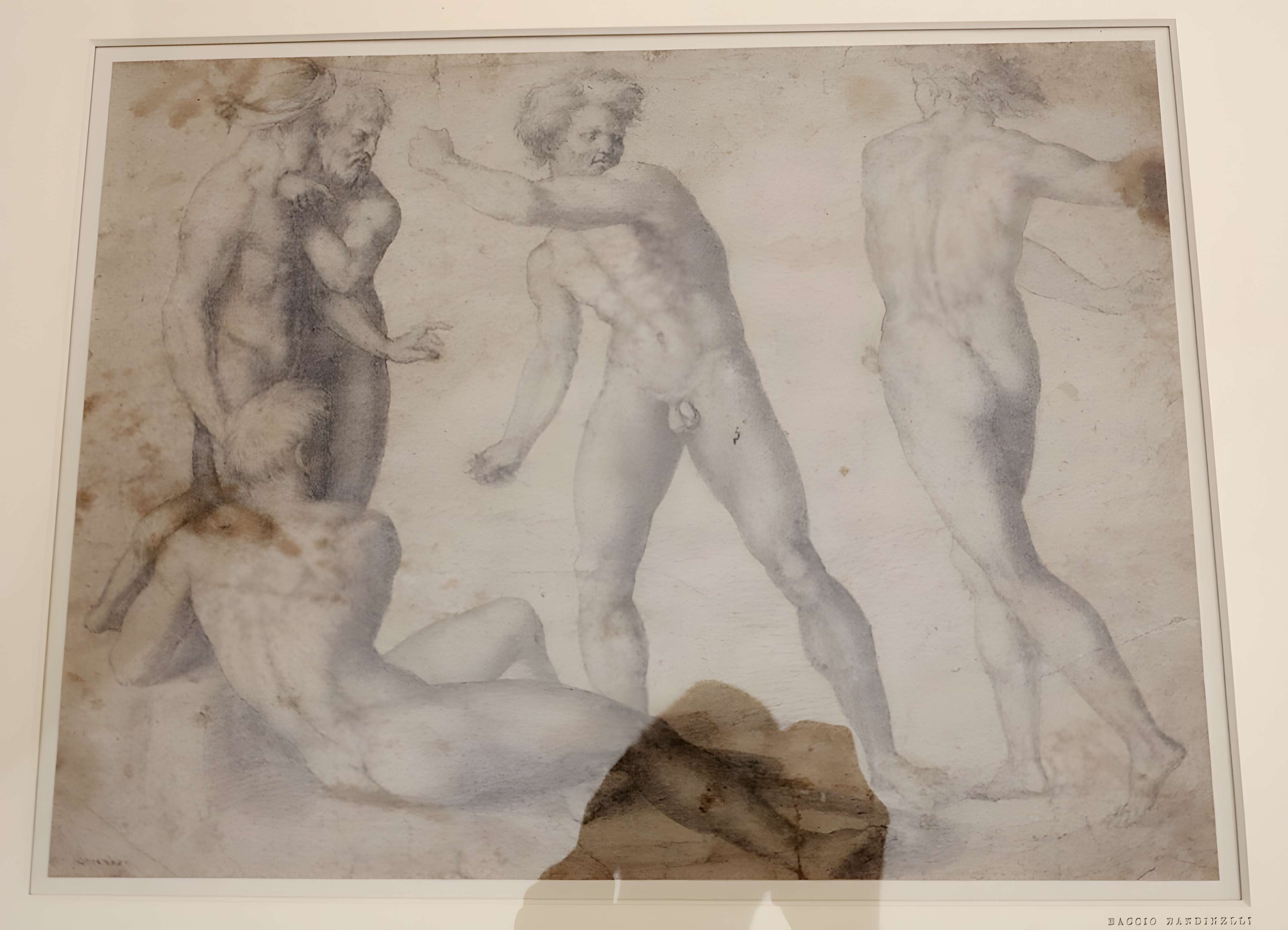 Musée des Beaux-Arts d'Orléans