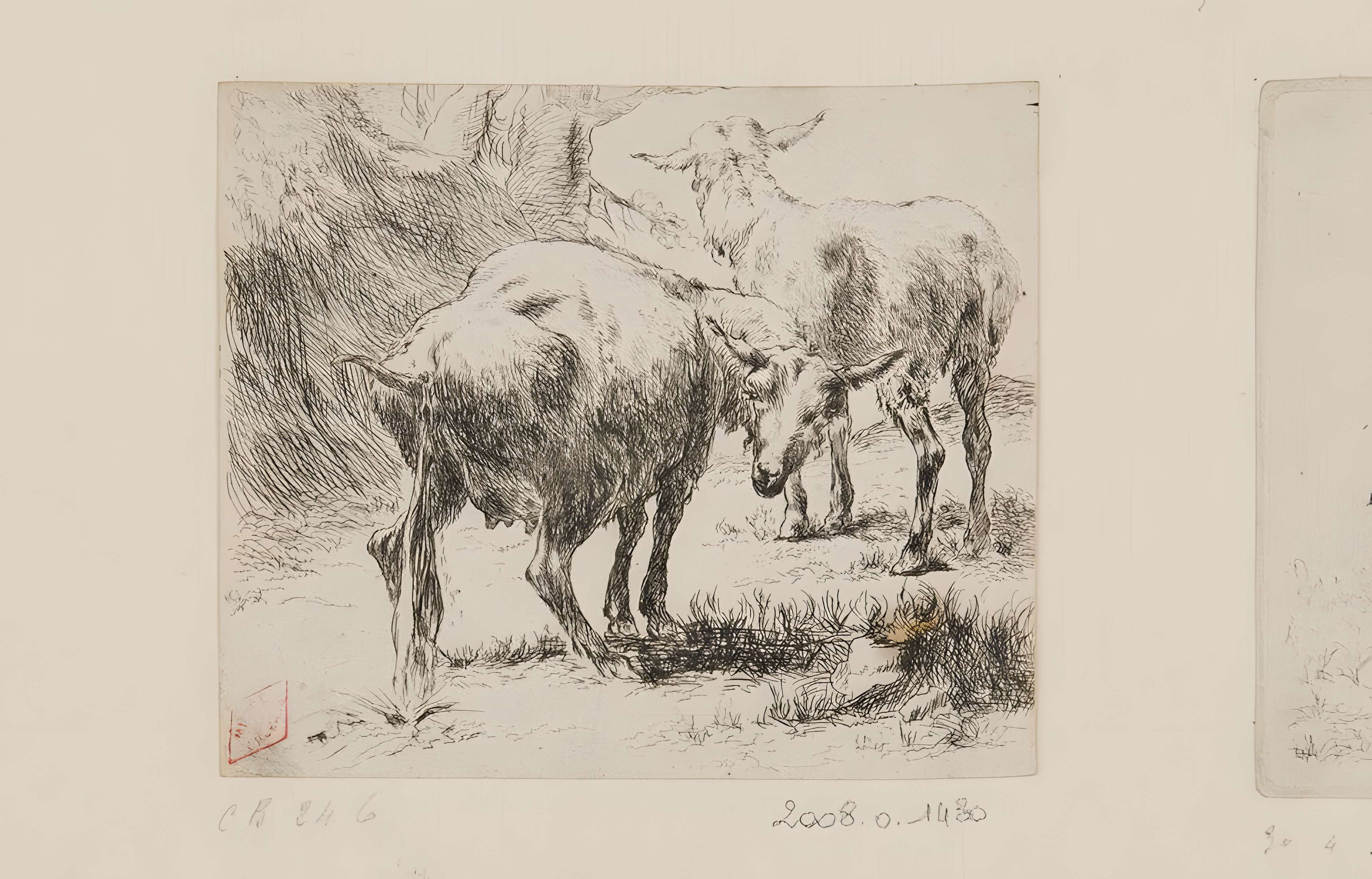 Musée des Beaux-Arts d'Orléans