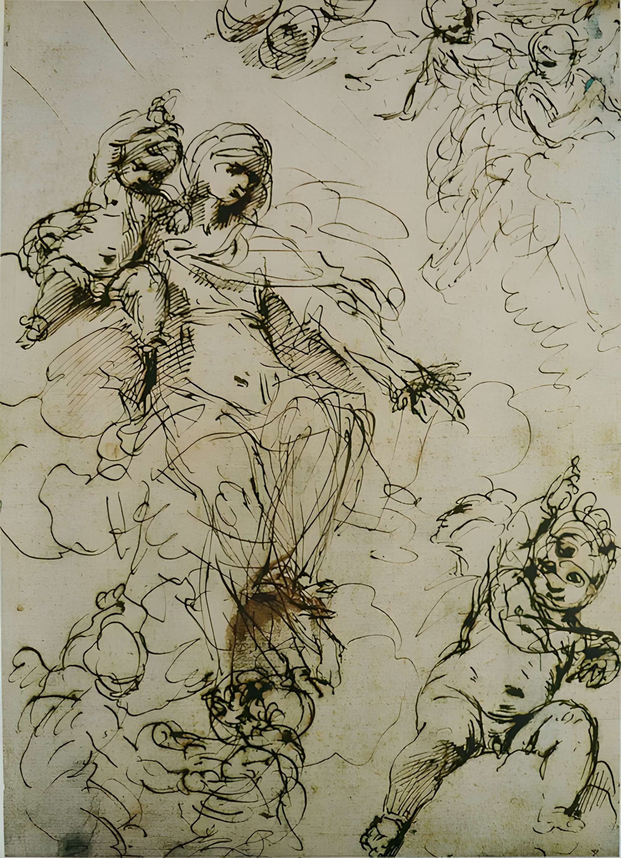 Musée des Beaux-Arts d'Orléans