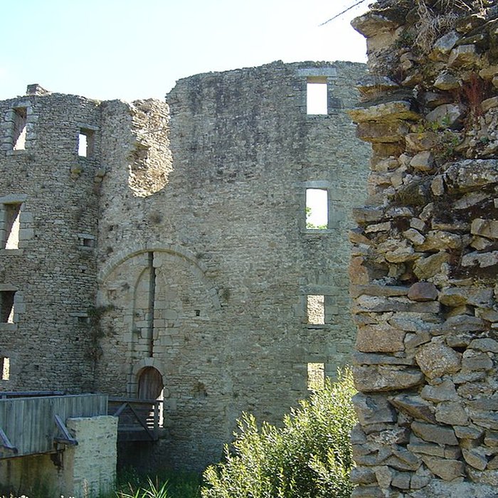 Photo de Château de Ranrouët