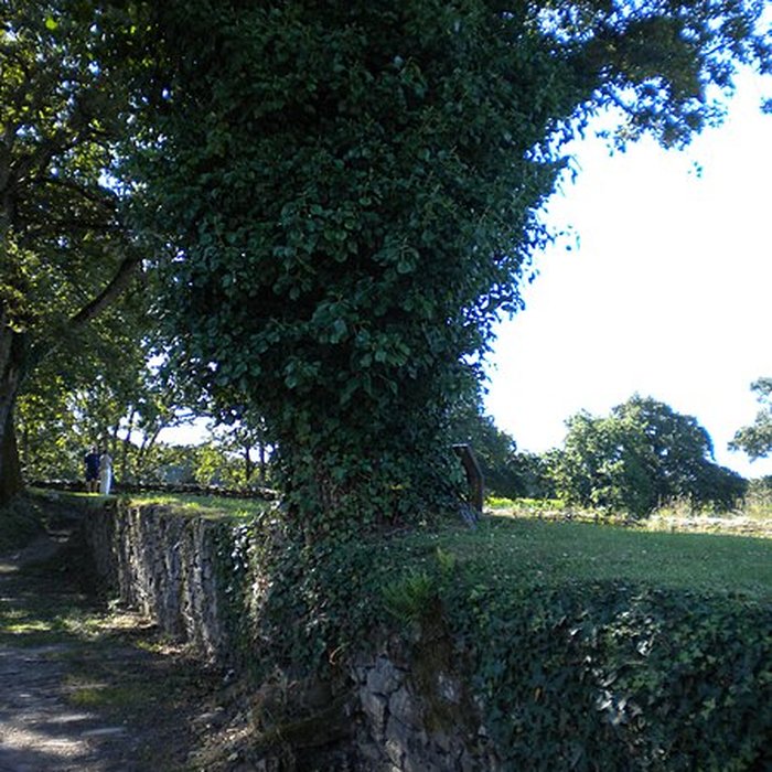 Photo de Château de Ranrouët