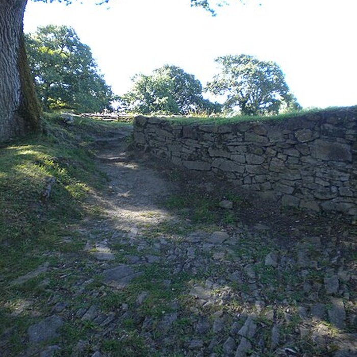 Photo de Château de Ranrouët