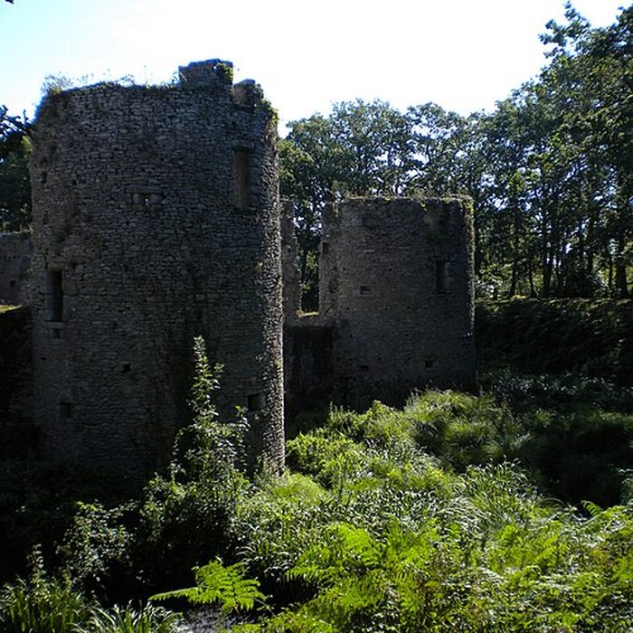 Photo de Château de Ranrouët