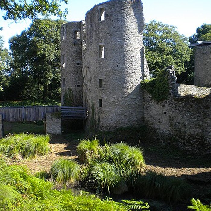 Photo de Château de Ranrouët