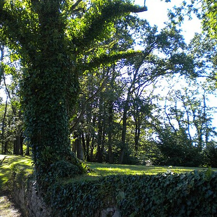 Photo de Château de Ranrouët