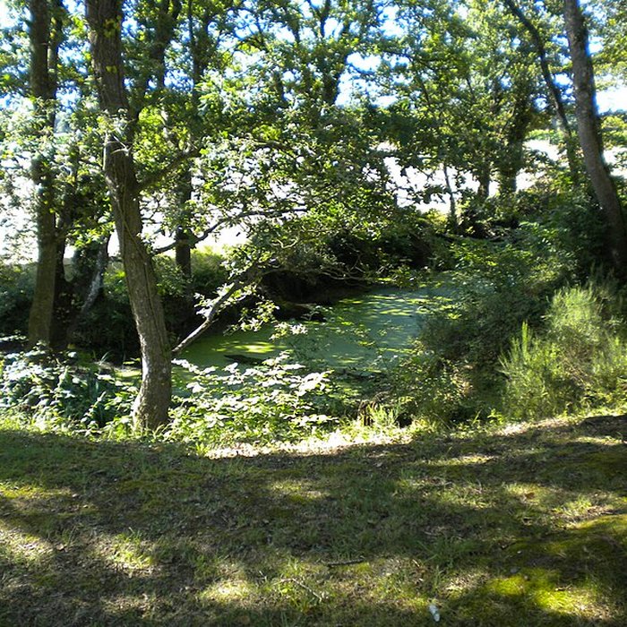 Photo de Château de Ranrouët