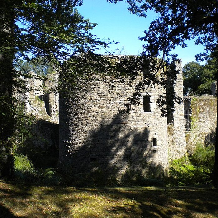 Photo de Château de Ranrouët