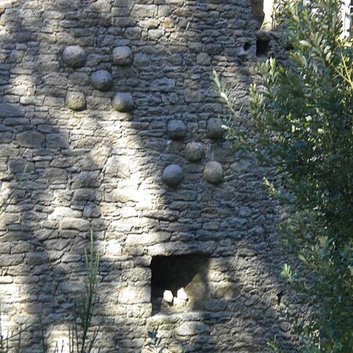 Photo de Château de Ranrouët