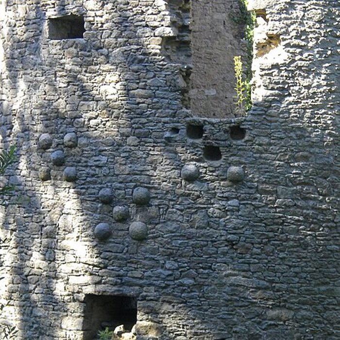 Photo de Château de Ranrouët